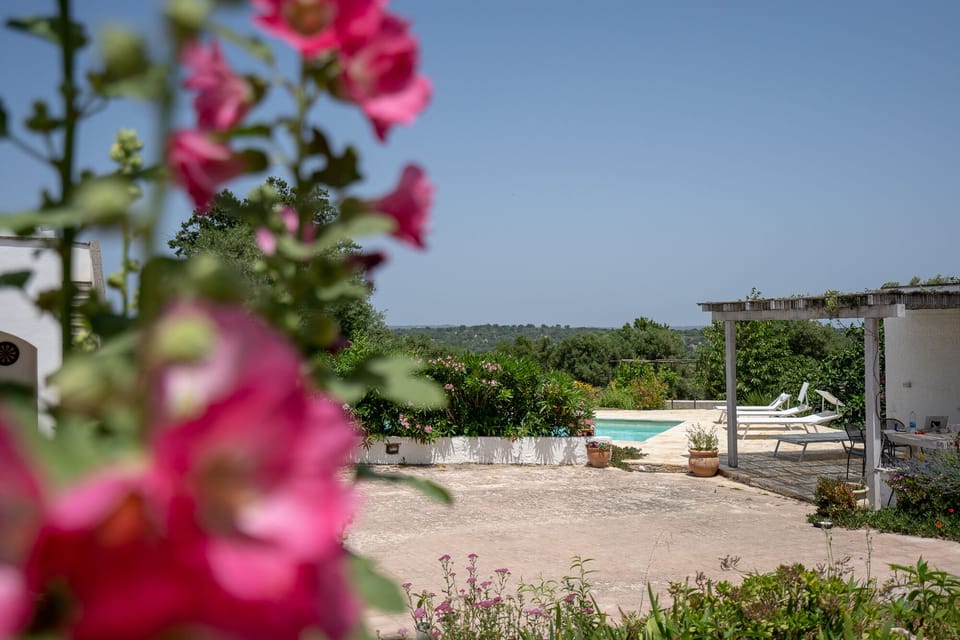 Gazebo & pool area
