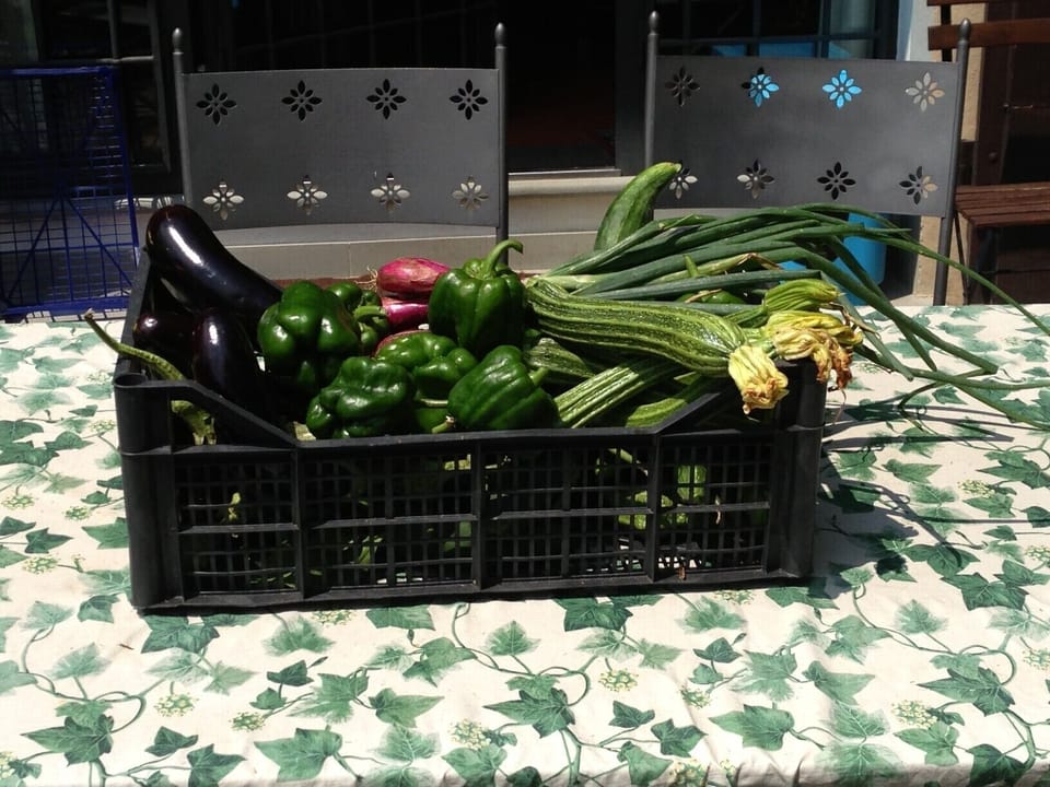 Our welcome present for our guests: a fresh vegetable box from our garden!