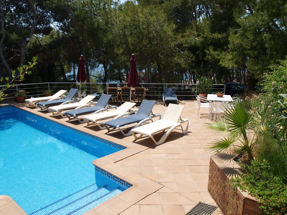 Garden with private pine forest, private pool and BBQ. 