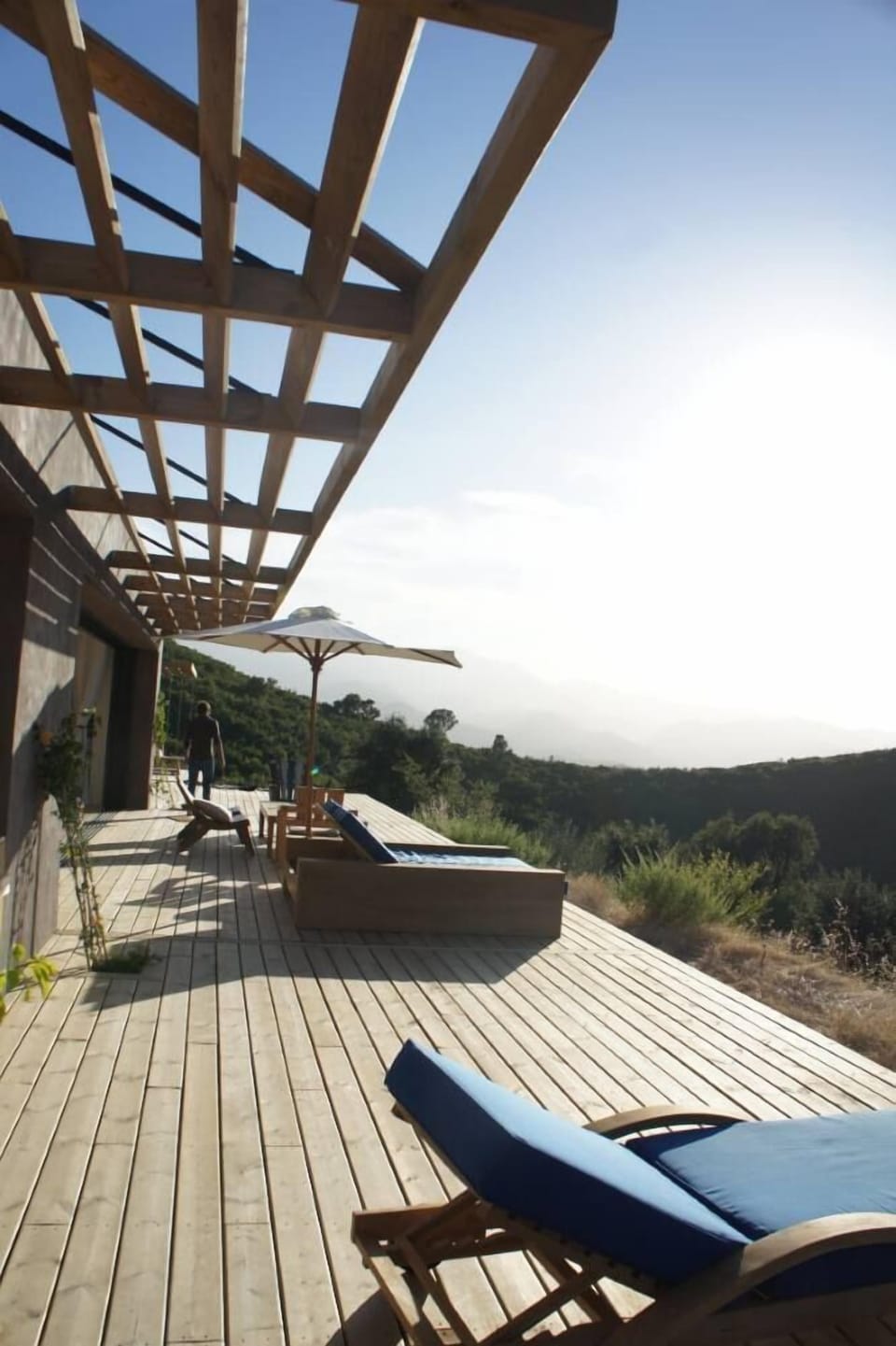 Terrace / Balcony