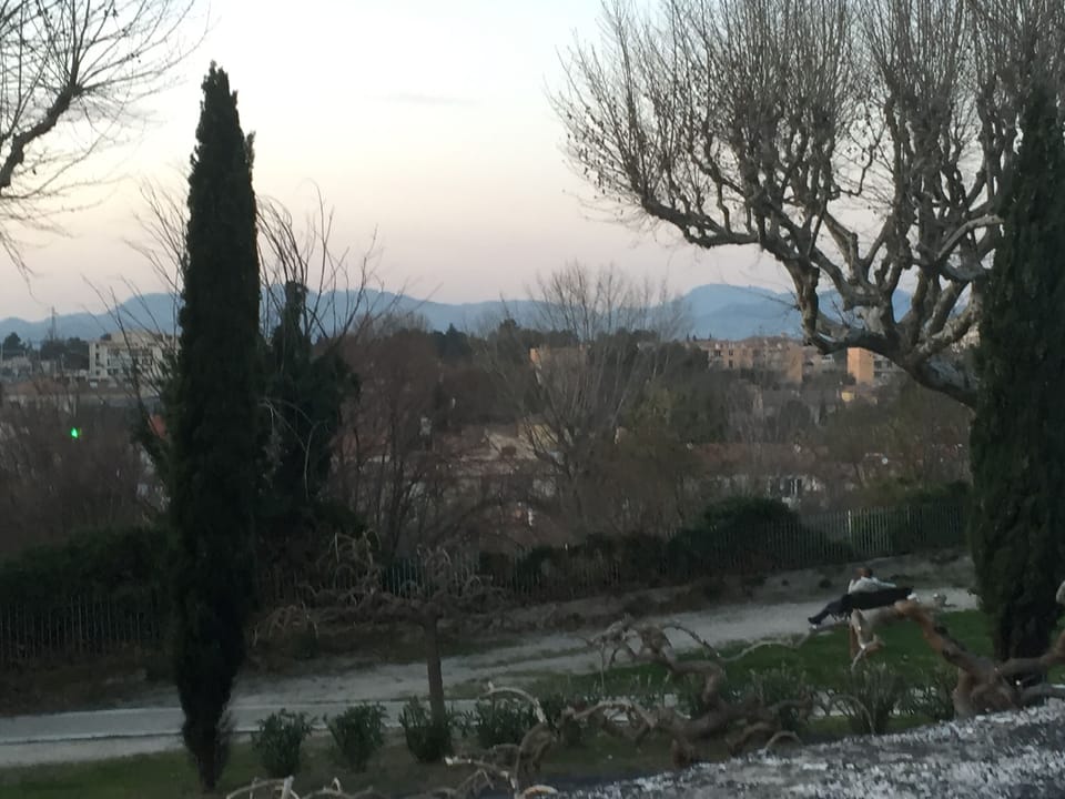 Views from Carpentras 