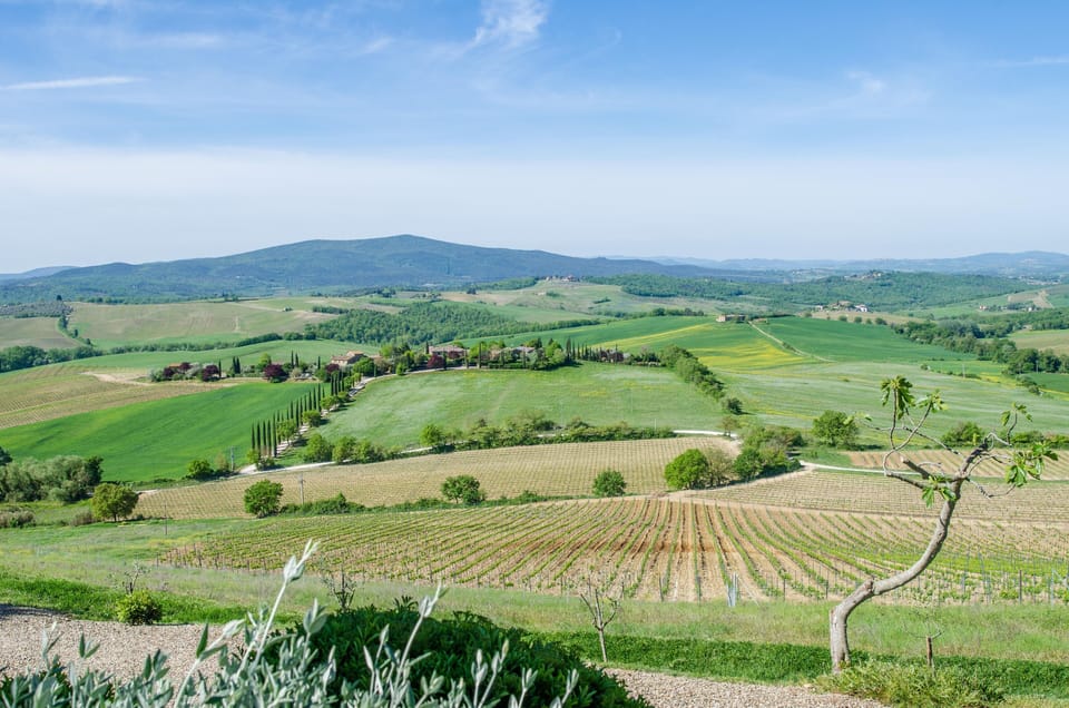 View from terrace