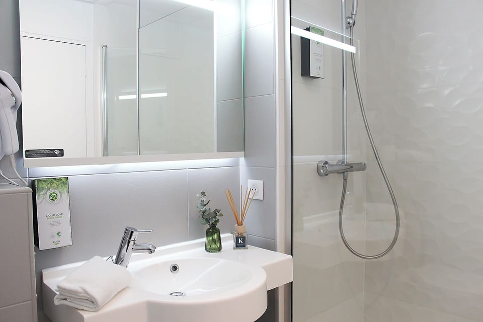 Eco-friendly toiletries, hair dryer, towels