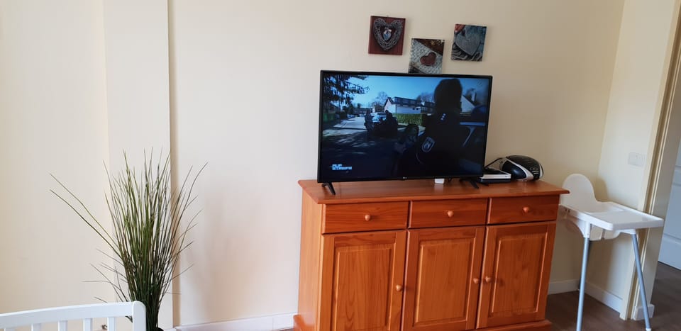 Flat-screen TV with satellite programmes, Internet via Wifi and stereo system