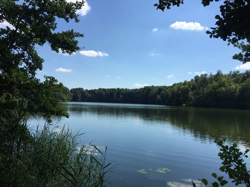 Lake