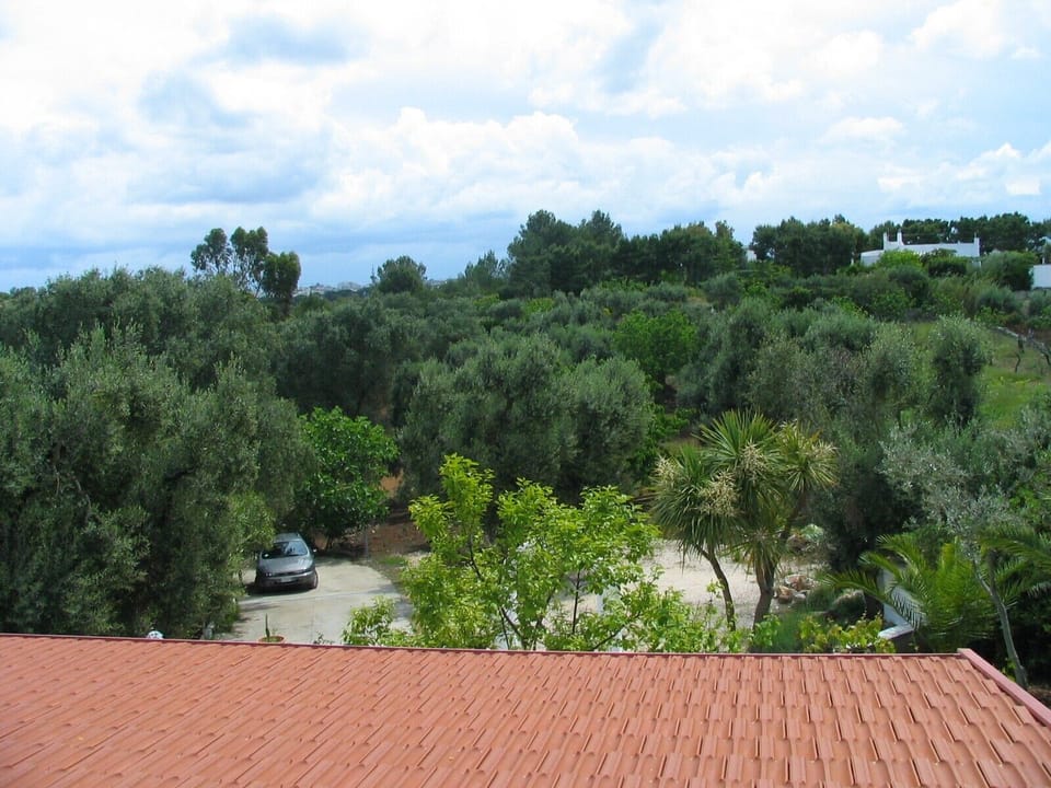View from rooftop terrace - View from rooftop terrace
