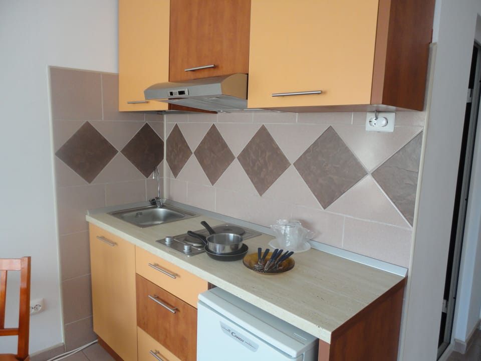 Fridge, dishwasher, cookware/dishes/utensils