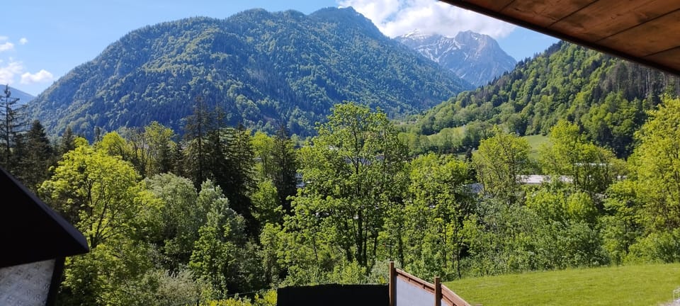 View from property