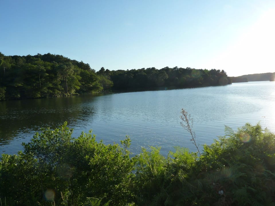 Lake