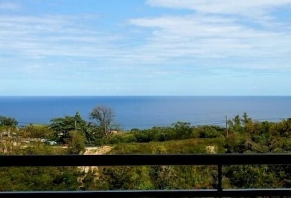 OCEANVIEW TERRACE/ CARIBBEAN BLUE