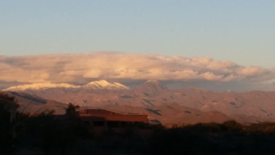 The view