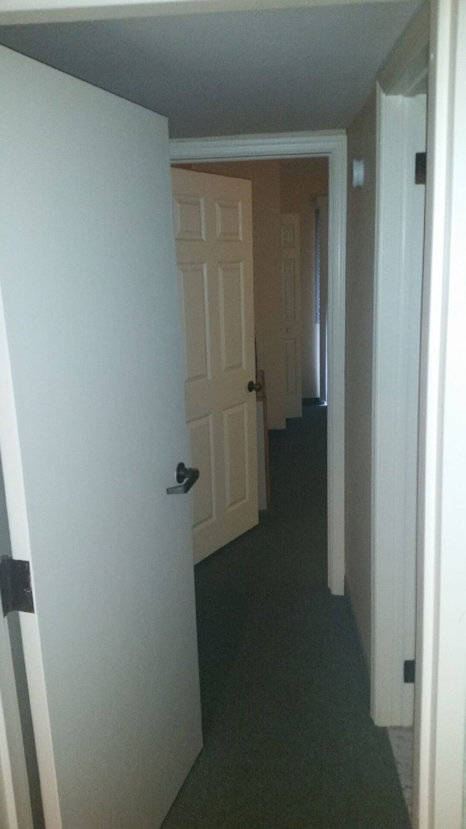 Private hallway off foyer leading to guest bedroom and guest bath (very private)