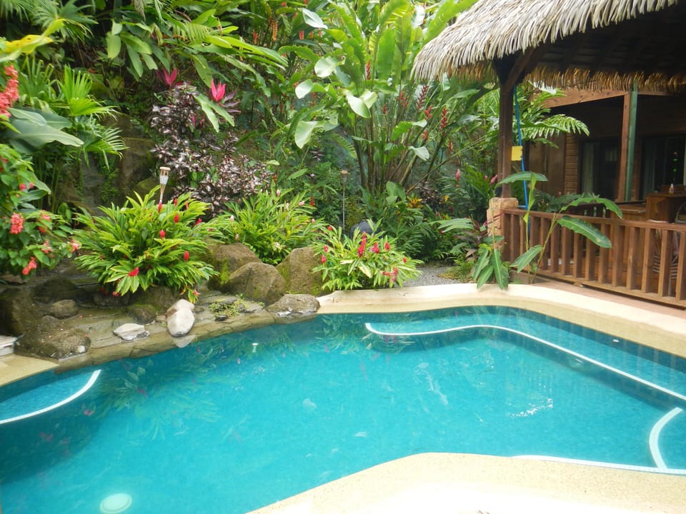 Enjoy an afternoon swim in the lovely pool with the sounds of the waterfall.