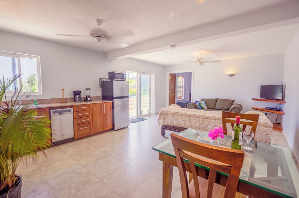 Downstairs BR- relaxing level with lounge, glass 2pr table and kitchenette