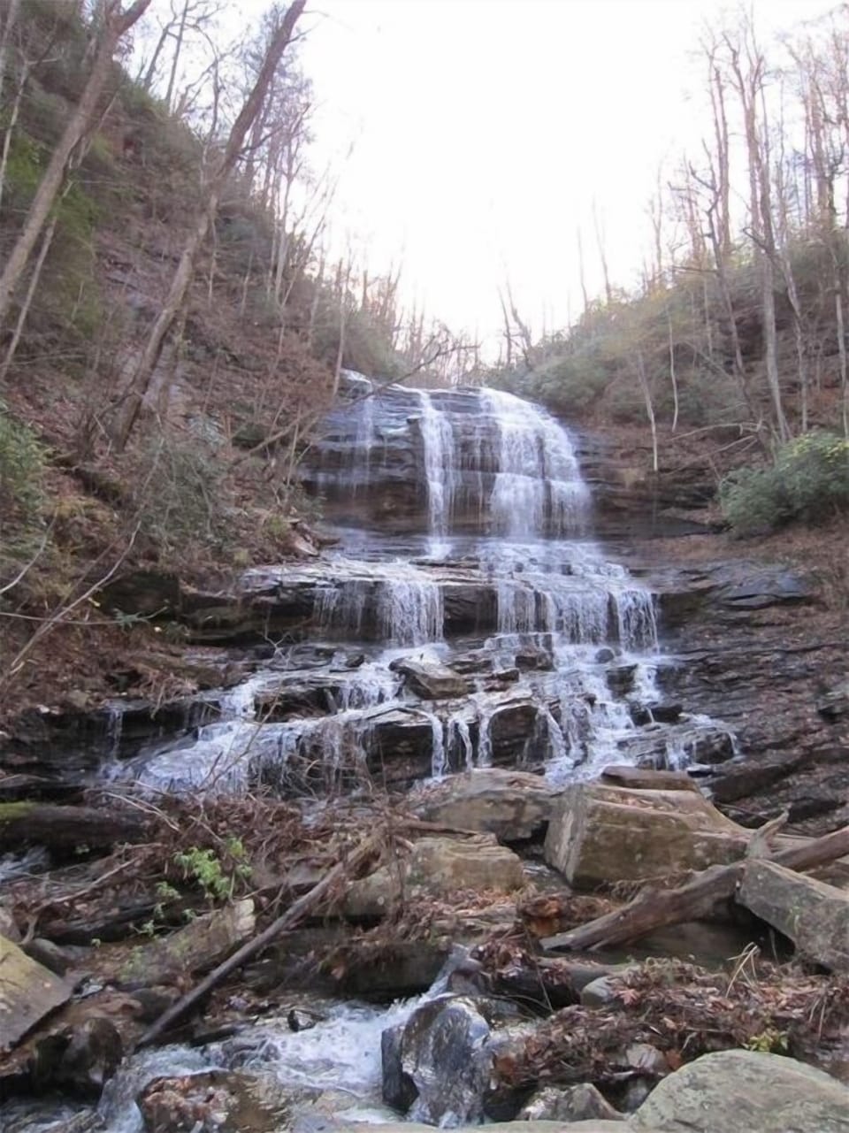 Pearson's Falls