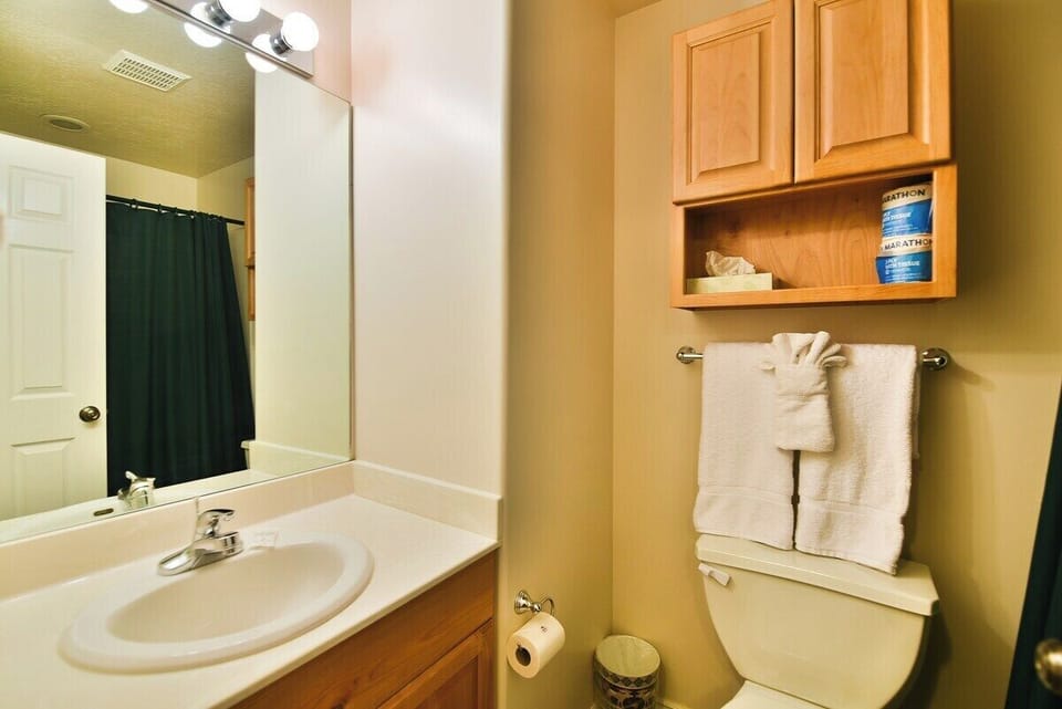 Master Bath with shower/tub combo