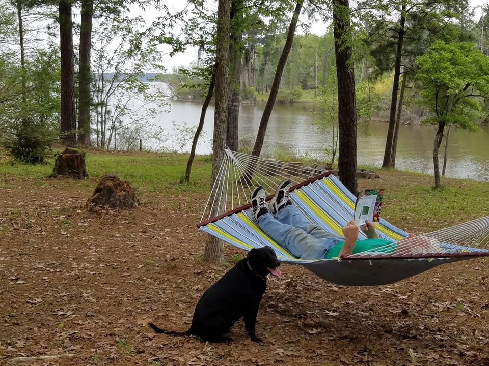 Kick back in the hammock to enjoy the gorgeous view or grab a book or nap!