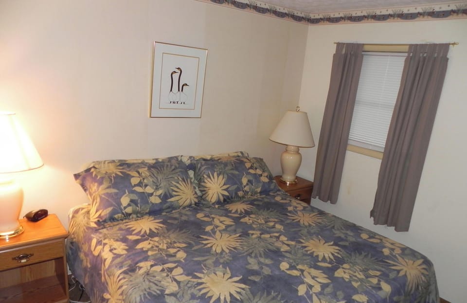 Master bedroom with king size bed