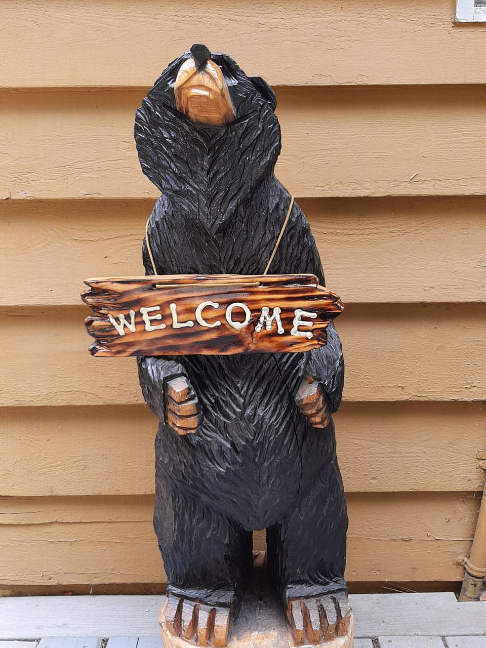 GREETINGS from our Welcome Bear!