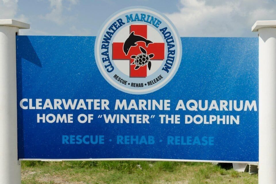 Clearwater Aquarium featured in Dolphin Tale movies, perfect for kids