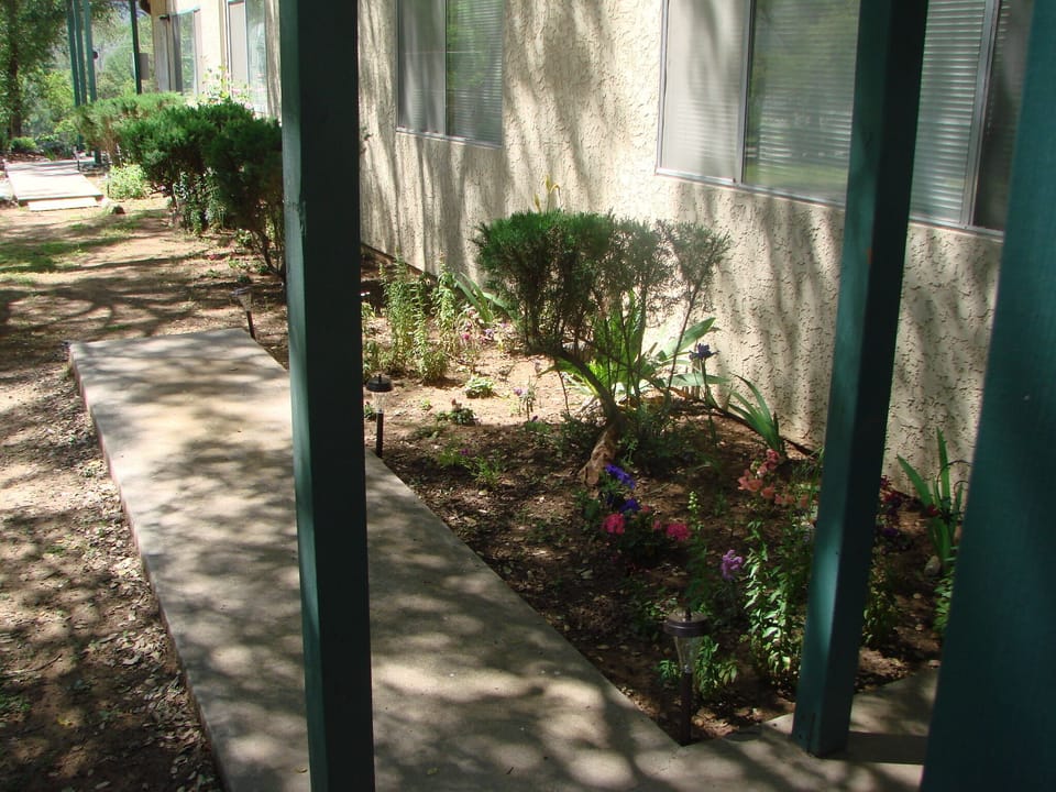 Sit outside and  enjoy watching the wild turkeys & deers.  Have a barbeque 