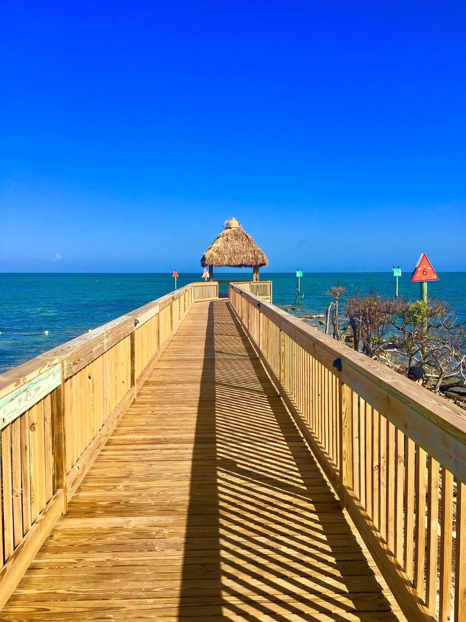 Walway to the gazebo