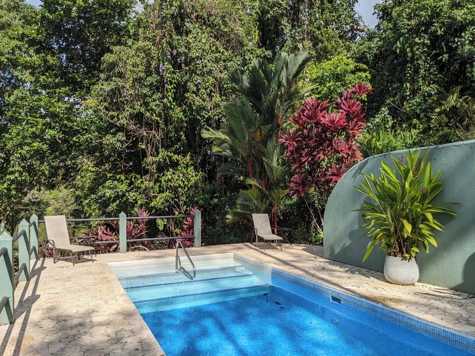 Steps and railing to help you in and out of the pool