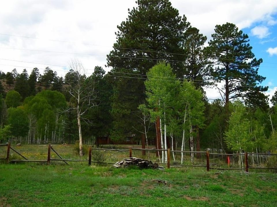 The backyard is a great place to relax and watch the deer walk by.