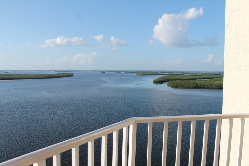 View from Veranda