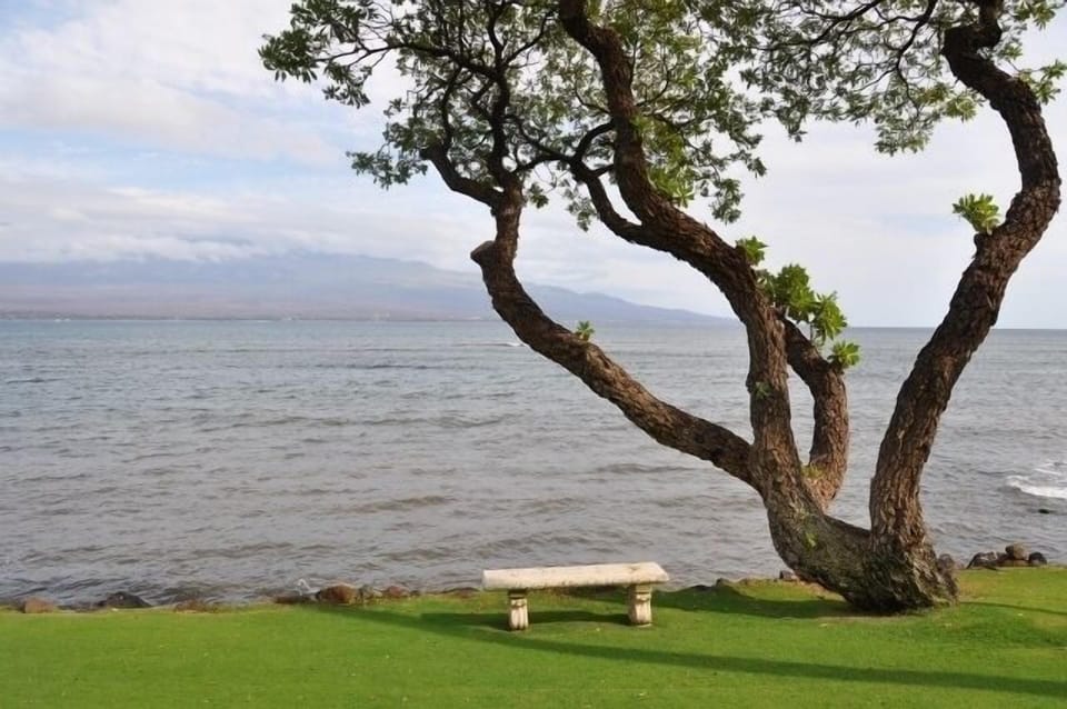 sit ocean front and enjoy the sounds of the waves