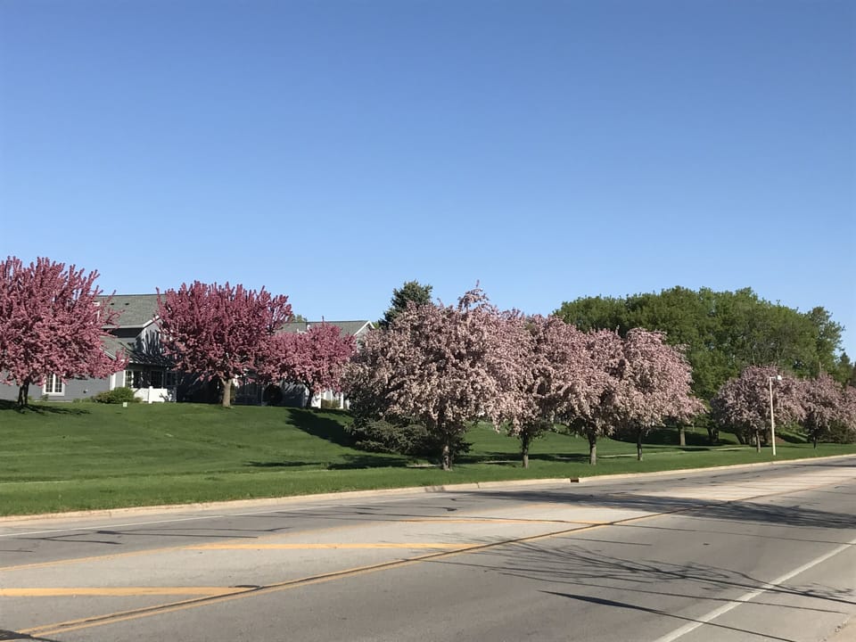 Springtime in Rochester