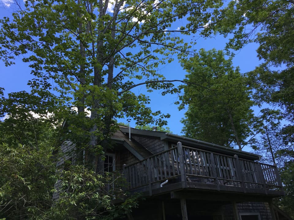 Kinda like a treehouse!