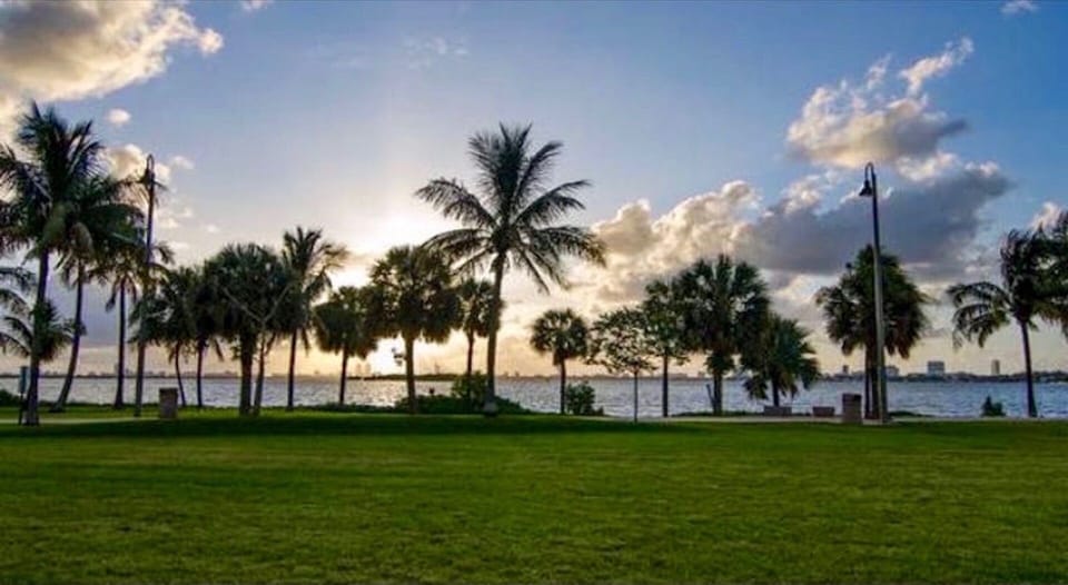 View of the park
