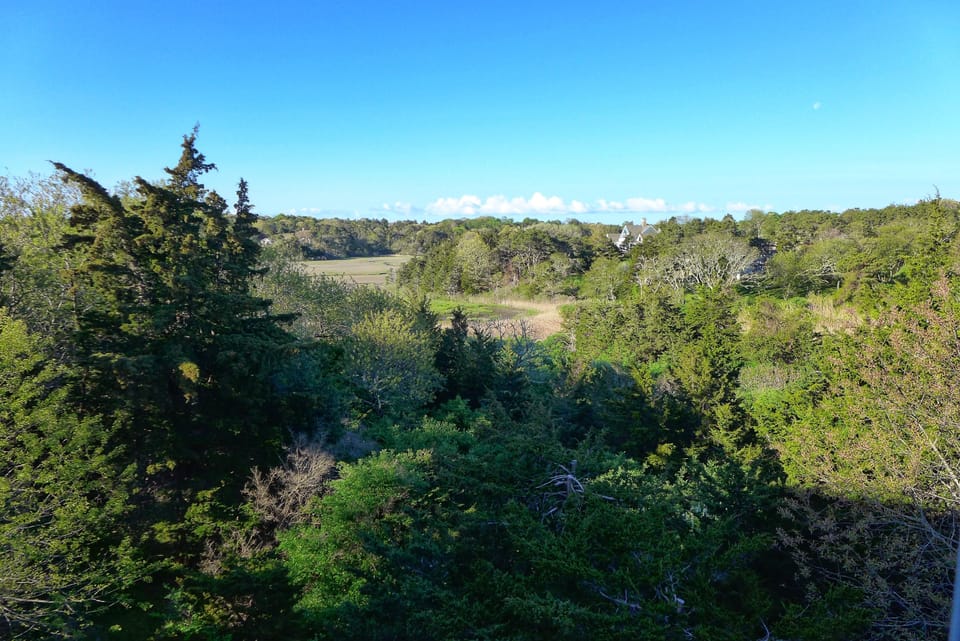 View from owners suite looking east