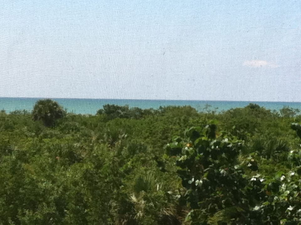 View From Master Bedroom