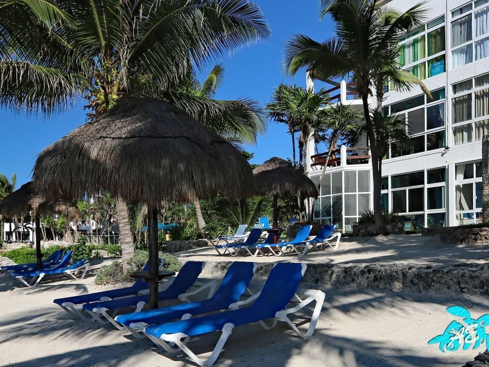 Our Beach is Twice the Size as Others With Plenty of Loungers and Palapas