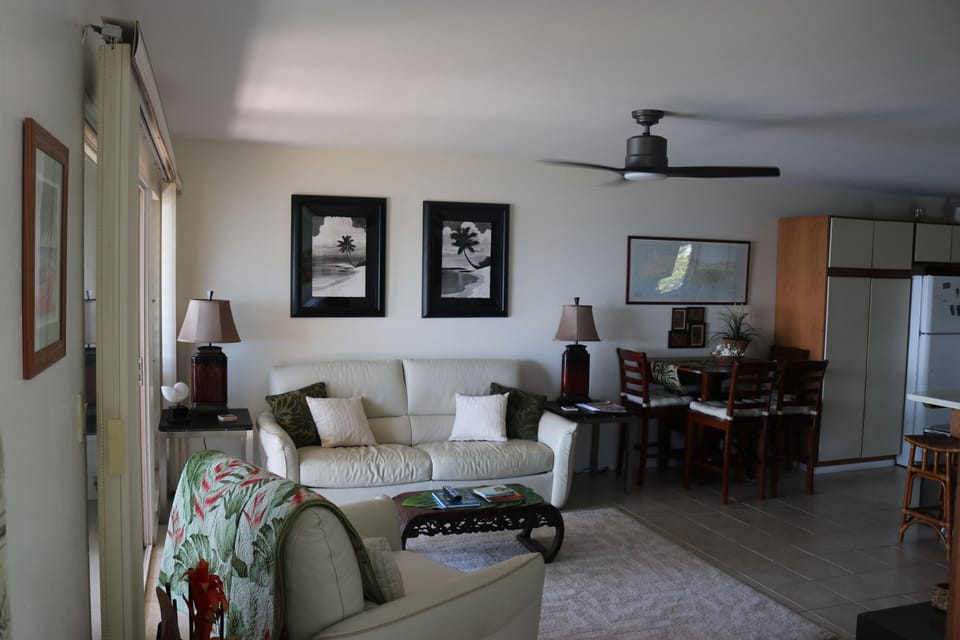 Newly decorated living room, new art work and new leather chair.