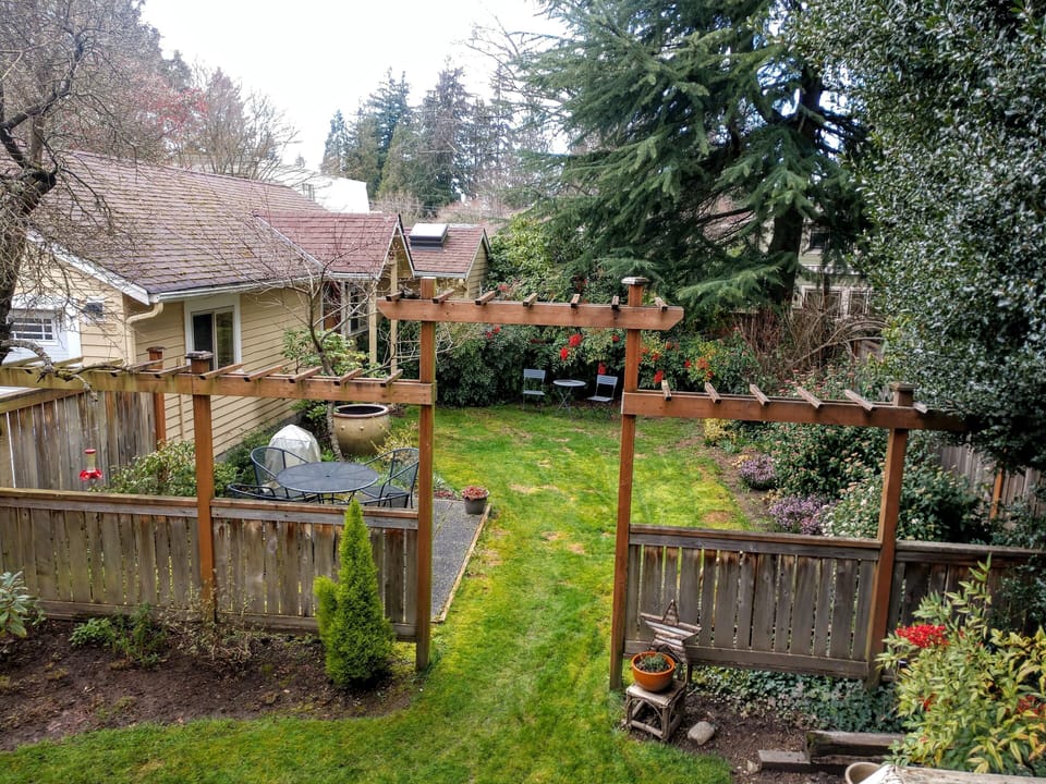 Backyard (shared)