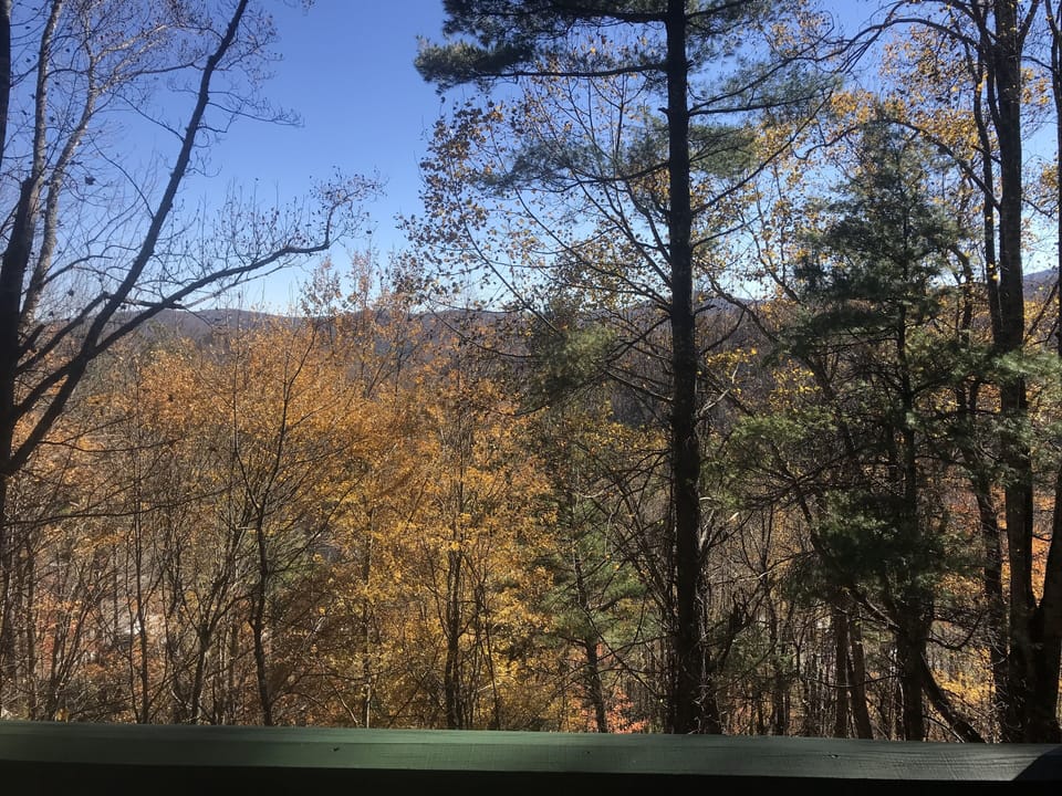 Sunny winter month views right outside the top balcony