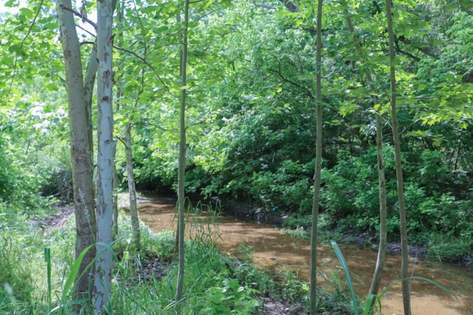 Kelly's Creekside - Erin's Escape