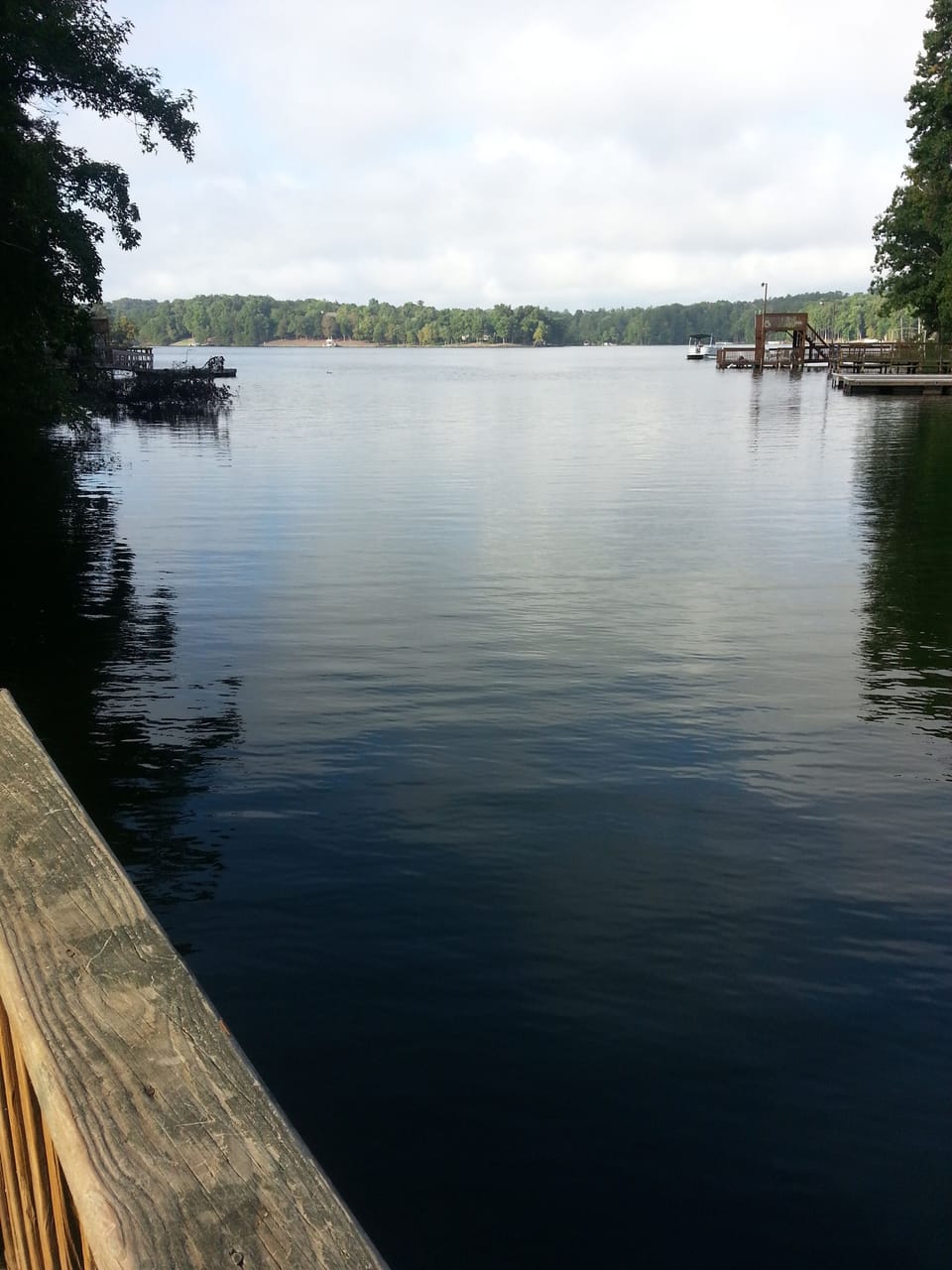 tranquility of the lake