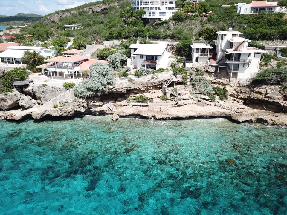 Our backyard 