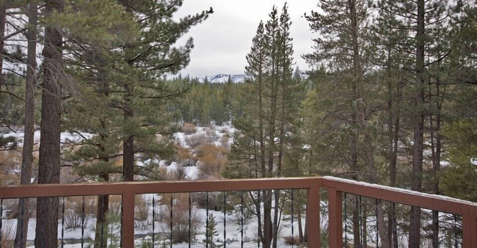 Meadow views from Patio