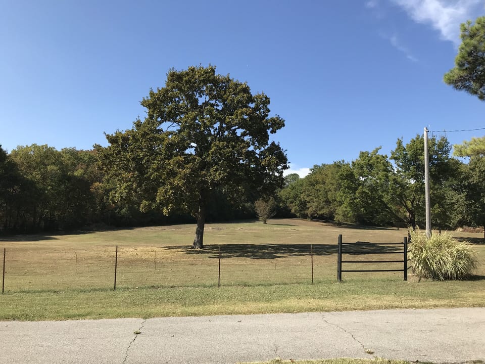 Your front porch view!  You will probably see some deer!