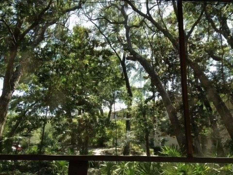 Love that porch view!