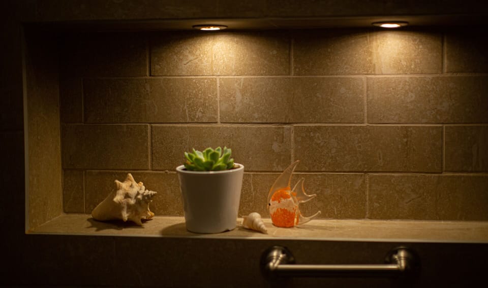 MASTER SHOWER WITH ACCENT NIGHTLIGHT