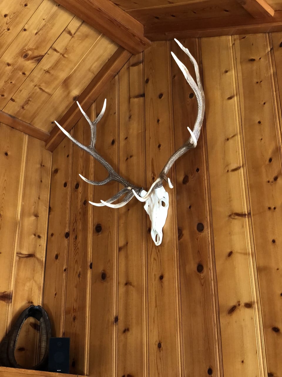 It wouldn't be a lodge without the quintessential Elk Rack! 