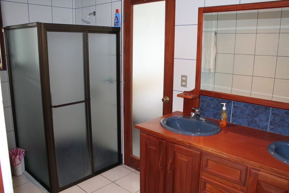 Downstairs full bath with shower (upstairs bath also has full tub and shower).