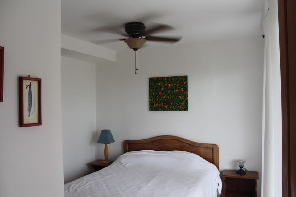 Downstairs Master with Queen Bed and full bath with shower.