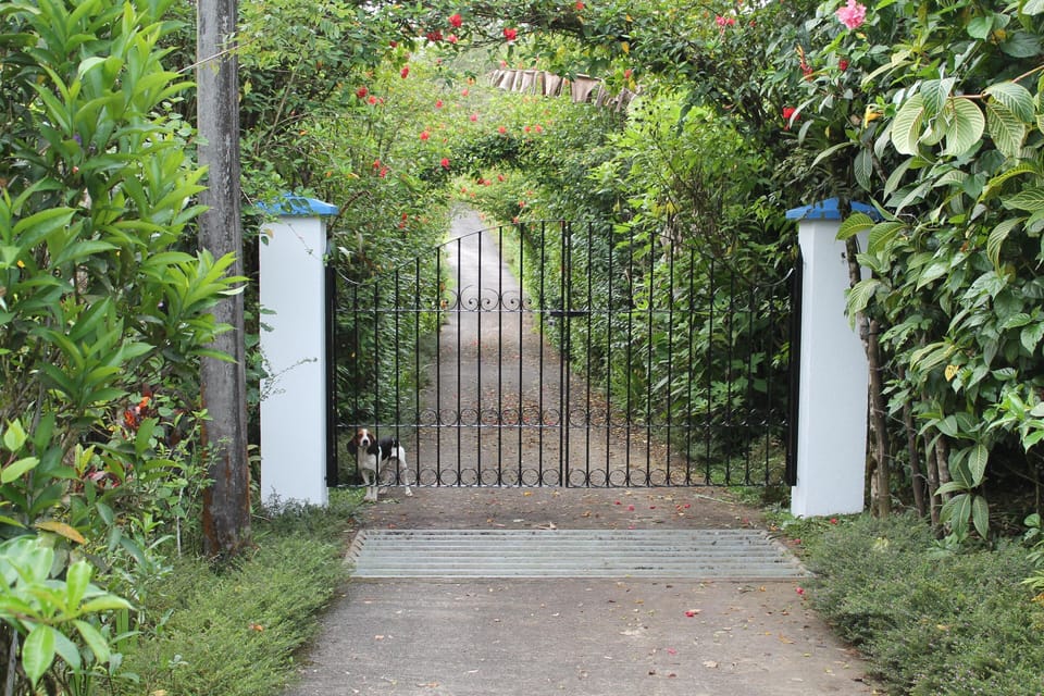 Private and Gated --- View of front gate.